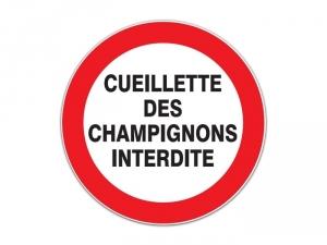 PANNEAU CUEILLETTE DES CHAMPIGNONS INTERDITE